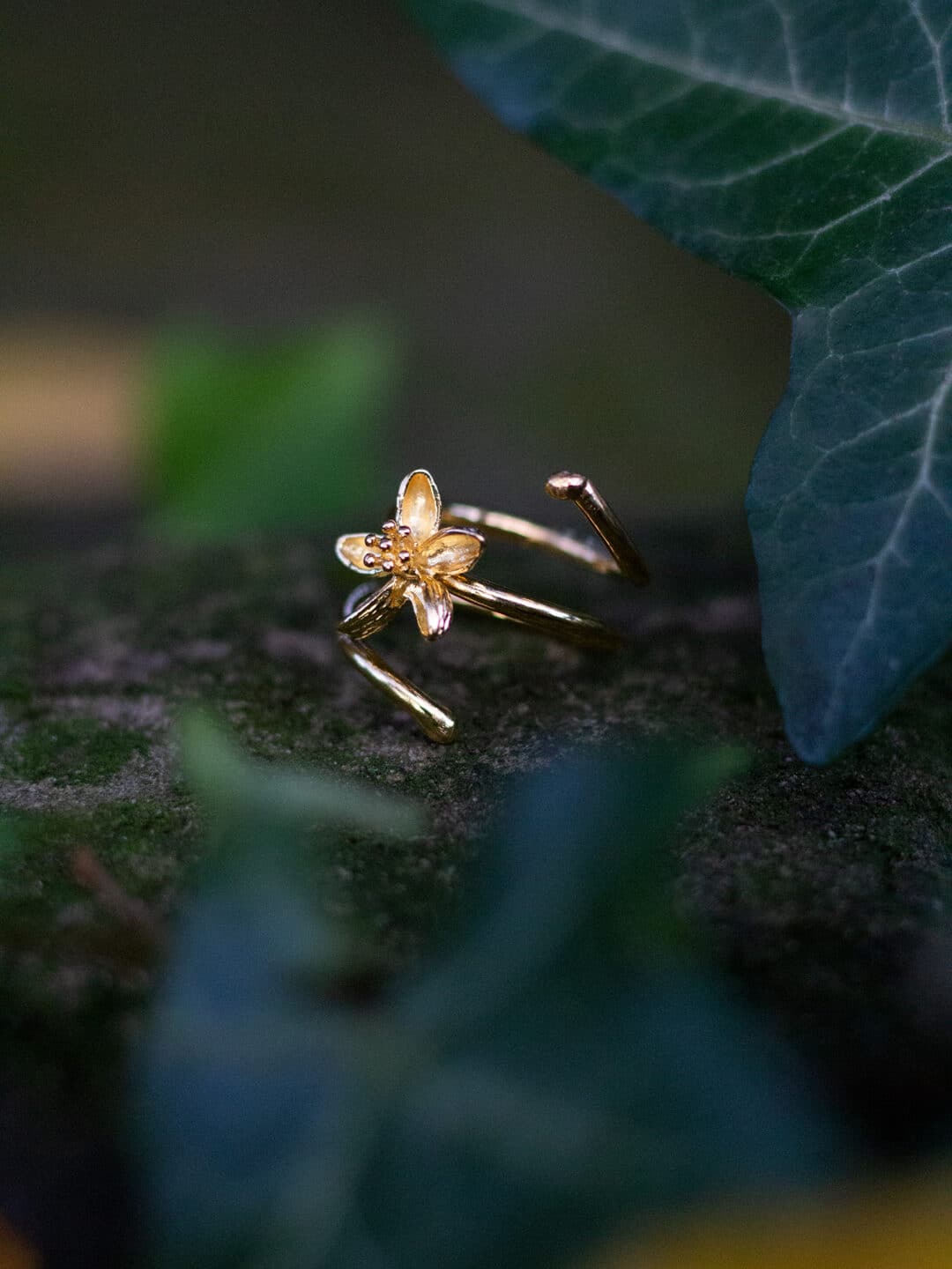 Anillo doble Zanzíbar