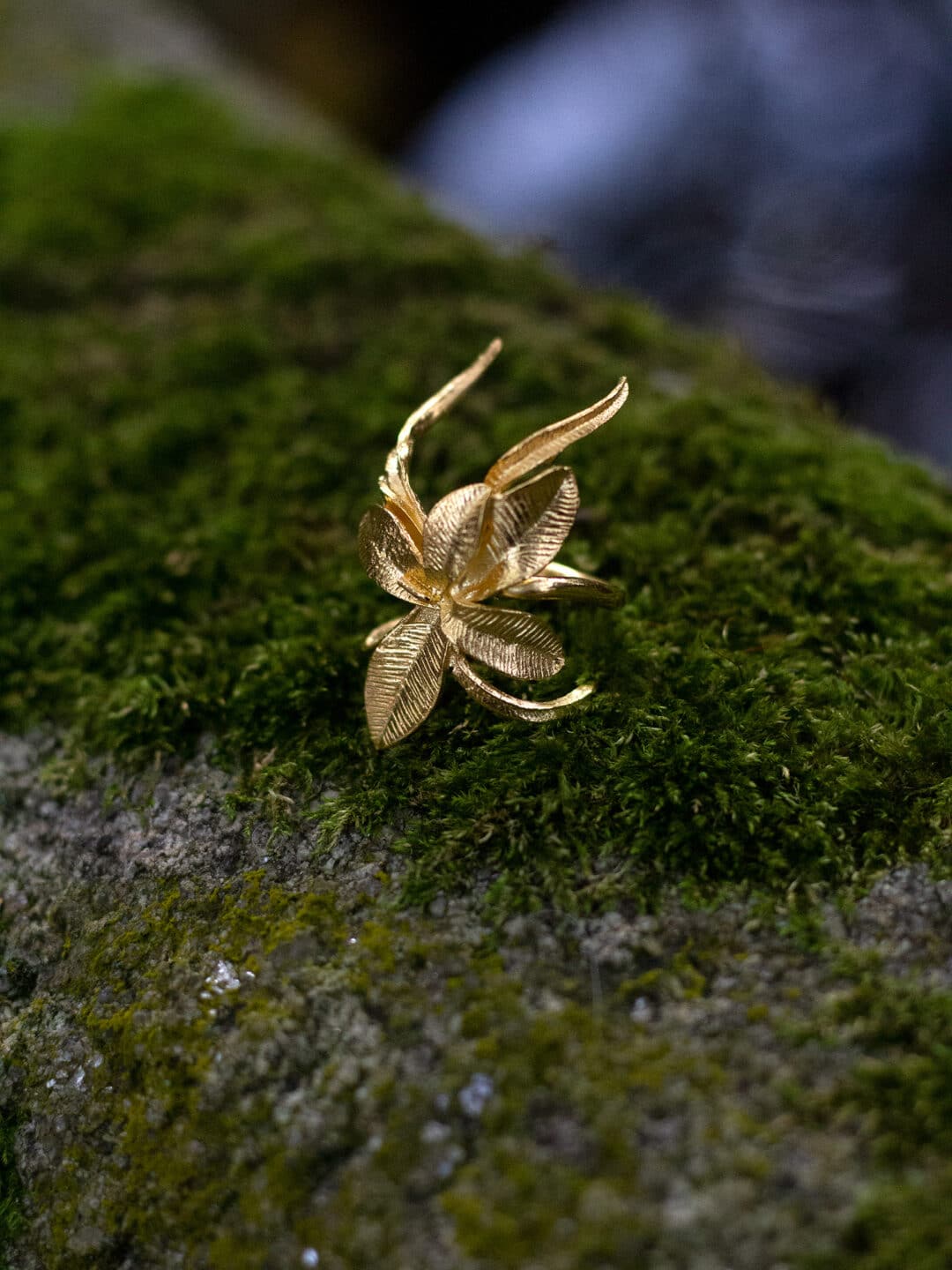 Anillo flor trepadora
